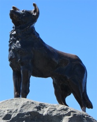 sheepdog_statue