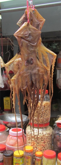 dried_octopus