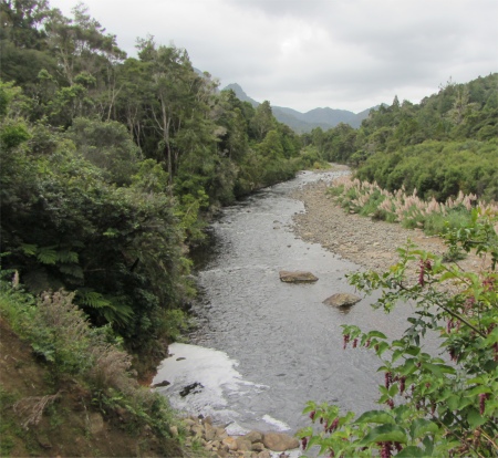 kauaeranga_river_up_the_valley