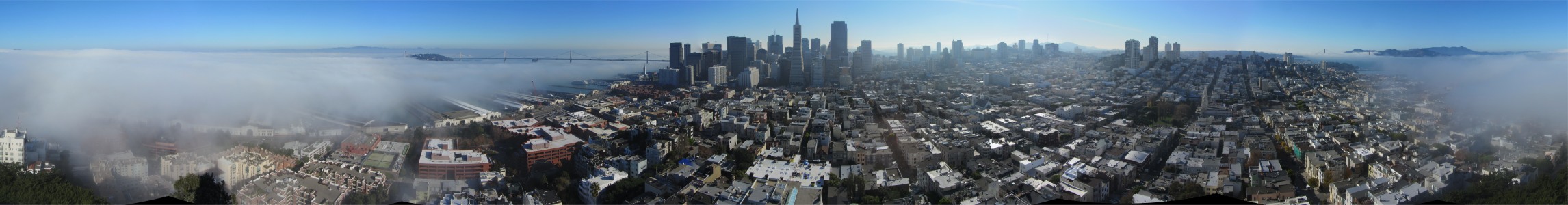 view_from_coit_tower