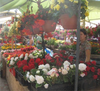 flower_stalls