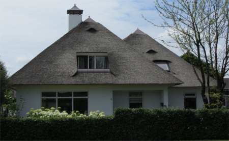 thatched_roofs