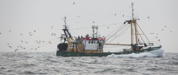 trawler_near_ijmuiden