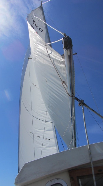 wind_in_our_sails