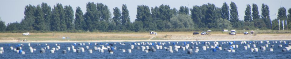mussel_farm