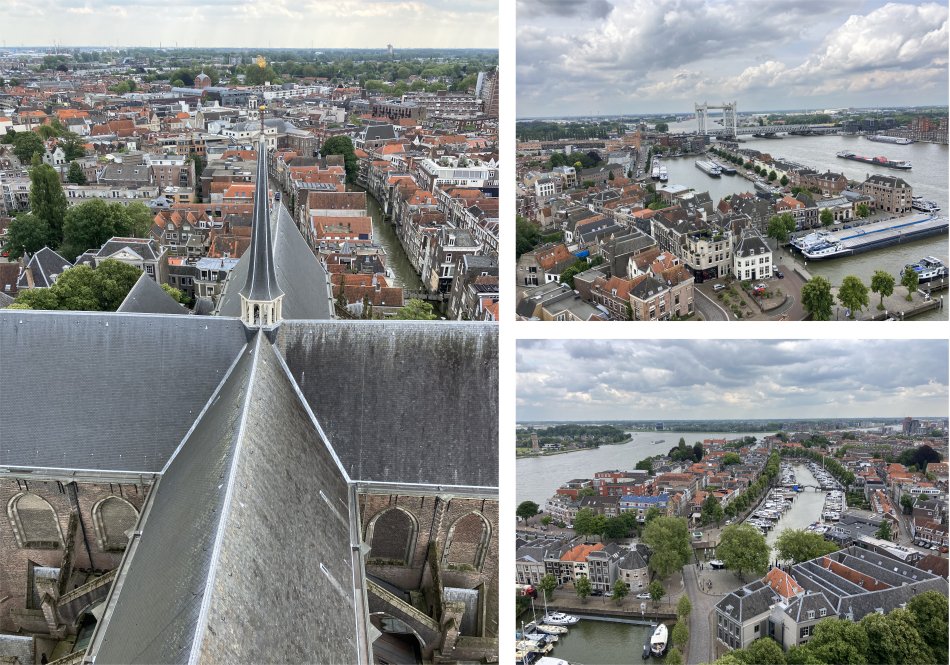 view_from_the_top