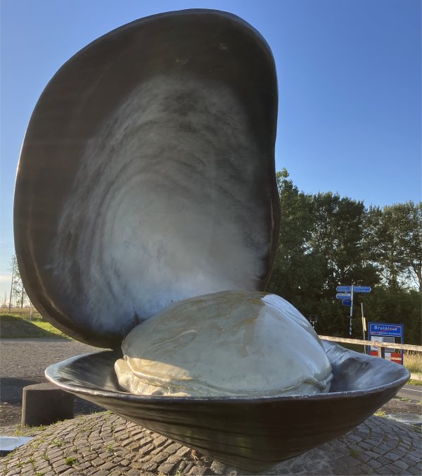 giant_mussel