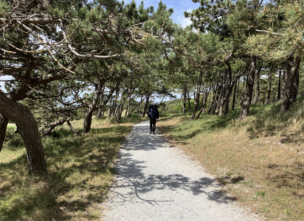 groene_strand_path