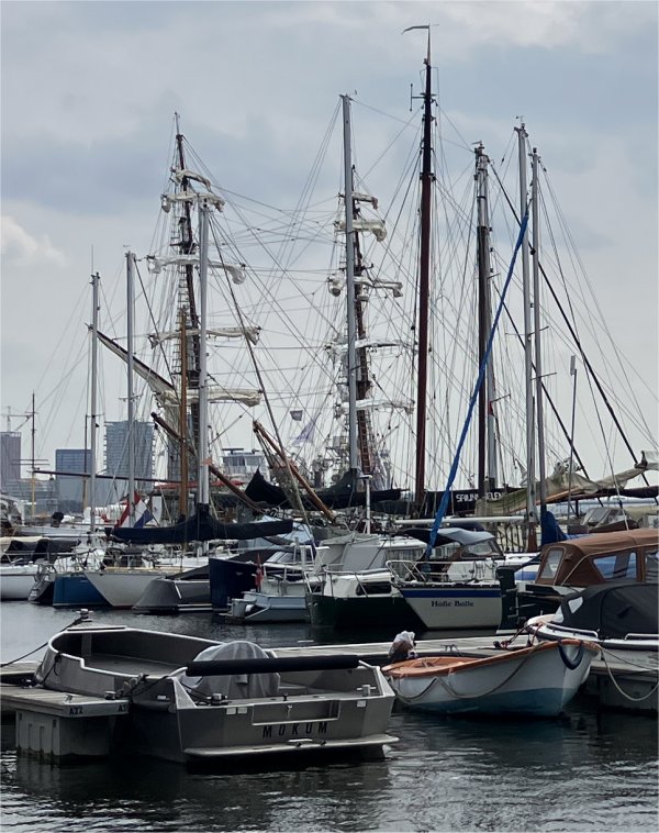 array_of_masts_by_ndsm_wharf