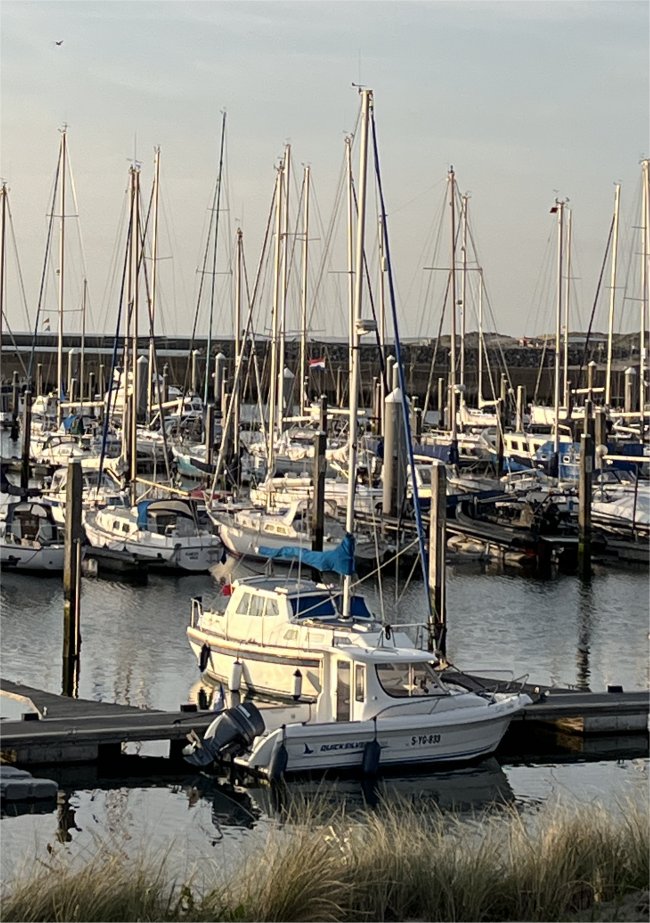 duonita_in_ijmuiden