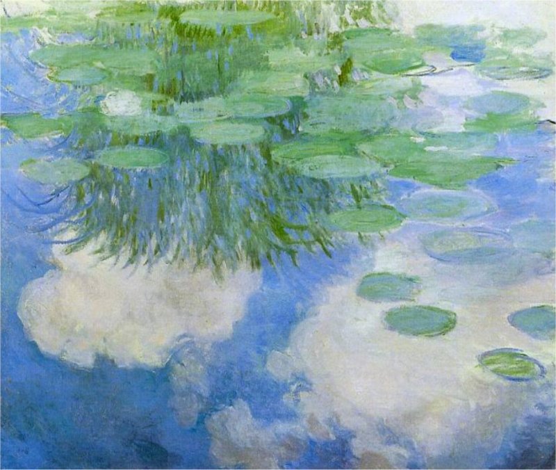 water_lilies