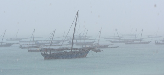 dhows_in_the_rain
