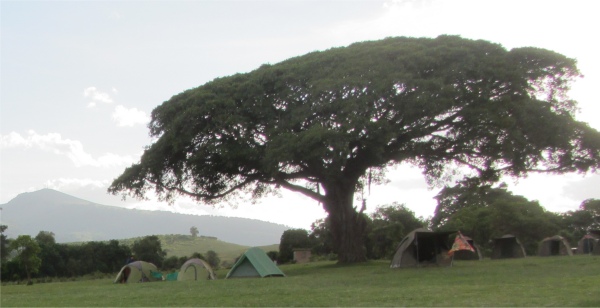 ngorongoro_rim_campsite