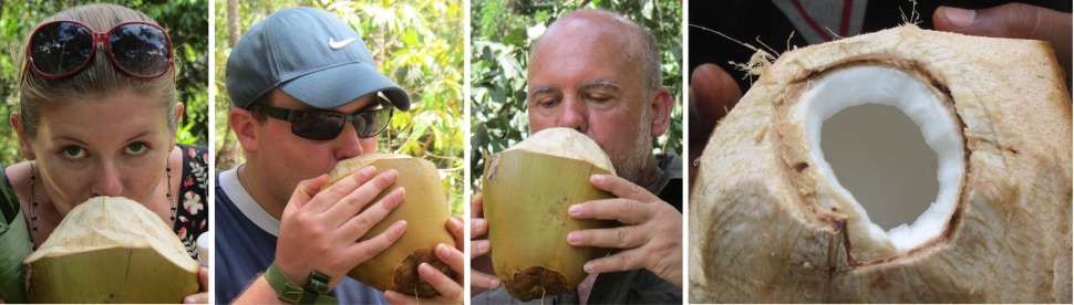 coconut_tasting